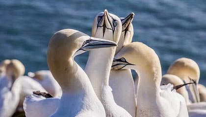 回应孙继海青训纠纷！中国足协：暂中止该案审理